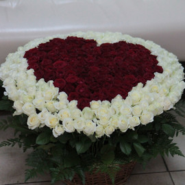 301 red and white heart-shaped roses in a basket
