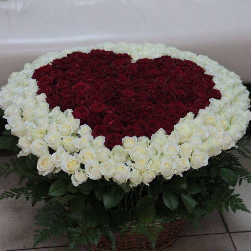 301 red and white heart-shaped roses in a basket, standart