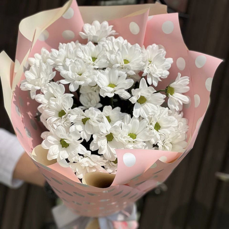 Bouquet of white chamomile chrysanthemums, standart