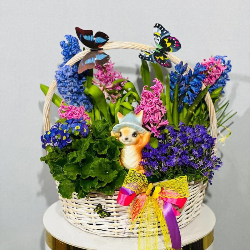 Mini garden in a gift basket, standart