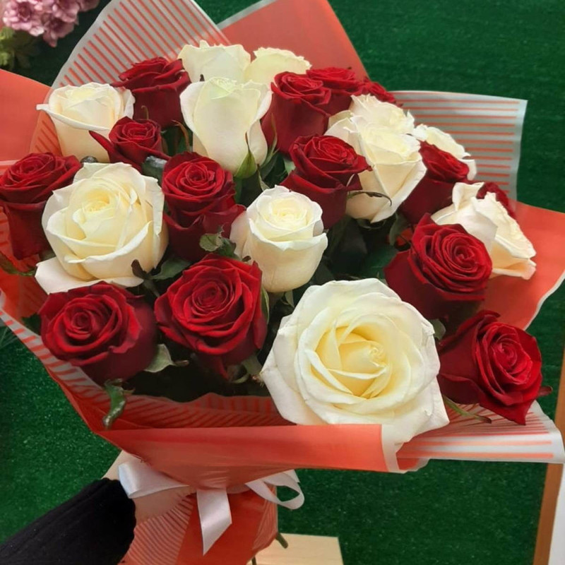 25 white-red roses, standart