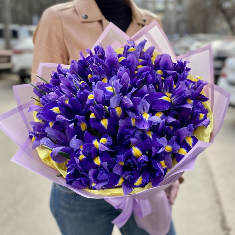 51 iris in decoration, standart