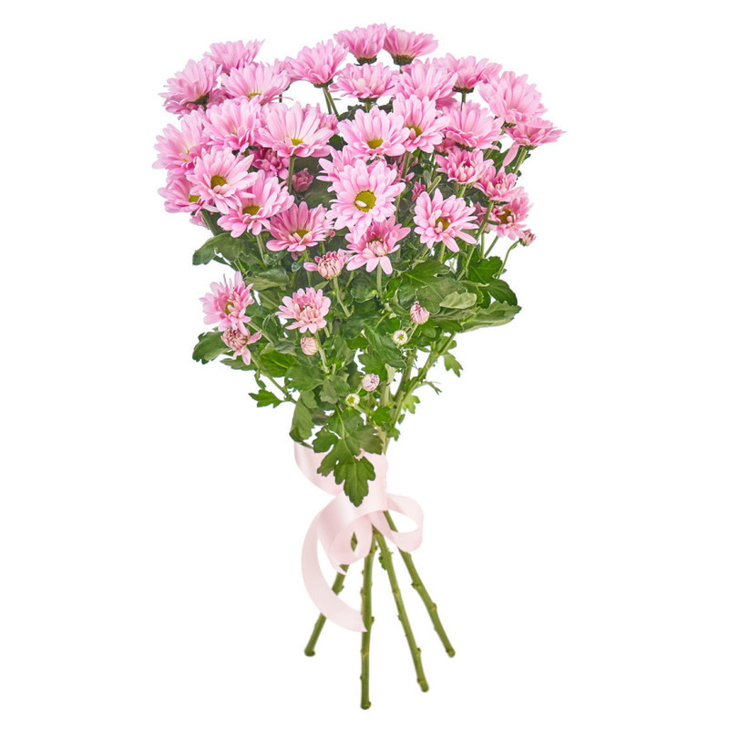 Букет из 5 розовых кустовых хризантем, стандартный