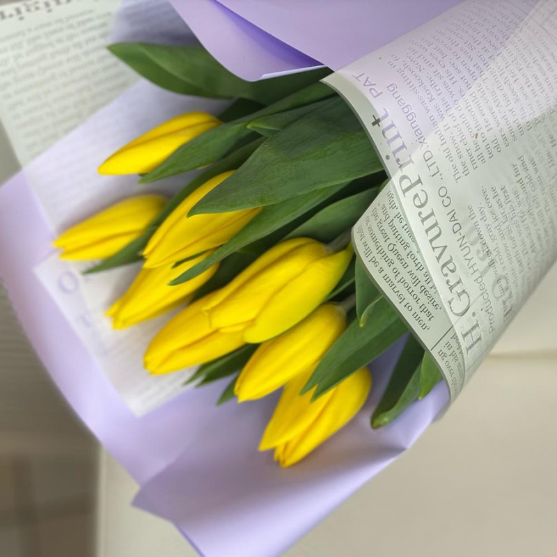 Yellow tulips, standart