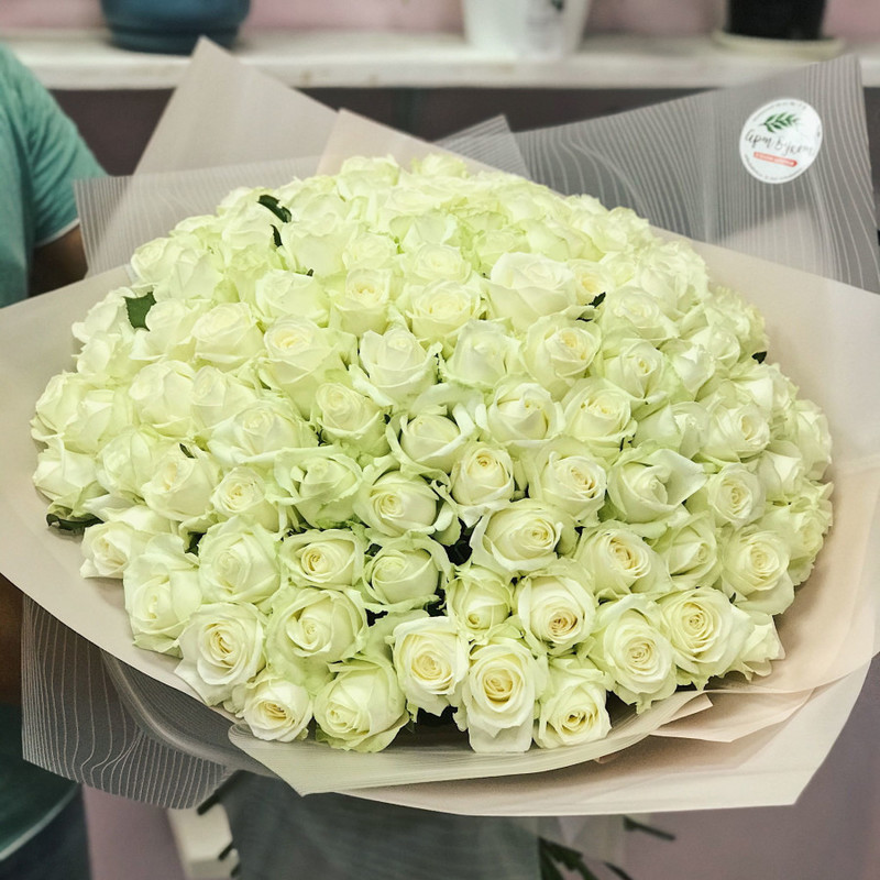 101 white roses in a package, standart