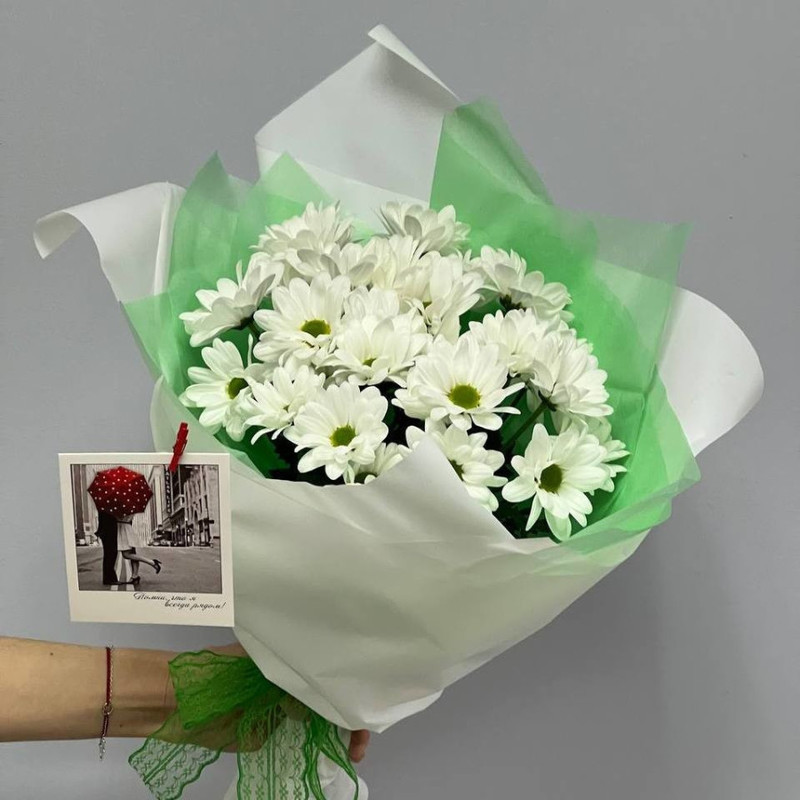 White daisies for your girlfriend, standart