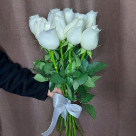 9 White Roses Ecuador