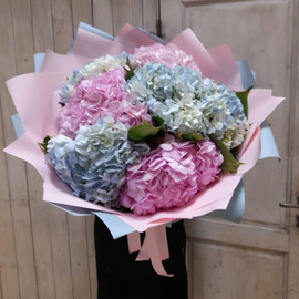 Bouquet of 7 hydrangeas
