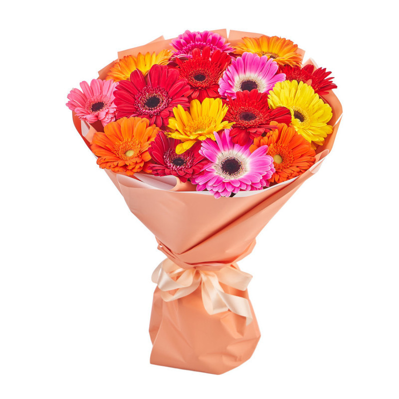 Bouquet of 15 bright gerberas in a package, standart