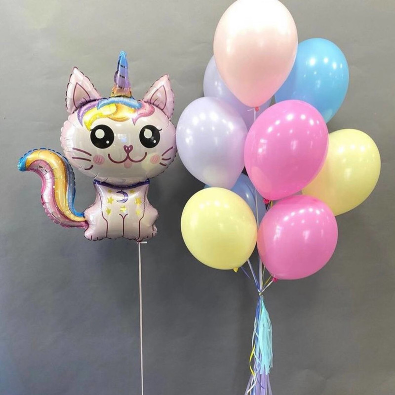 Воздушные шары макаронс с фигурой кот единорог, стандартный