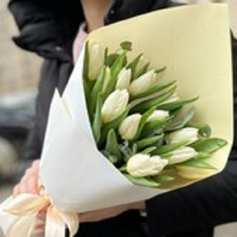 Bouquet of white tulips, standart