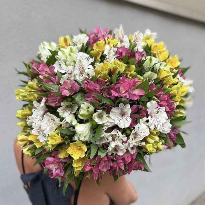 Huge bouquet of 101 alstroemerias, standart