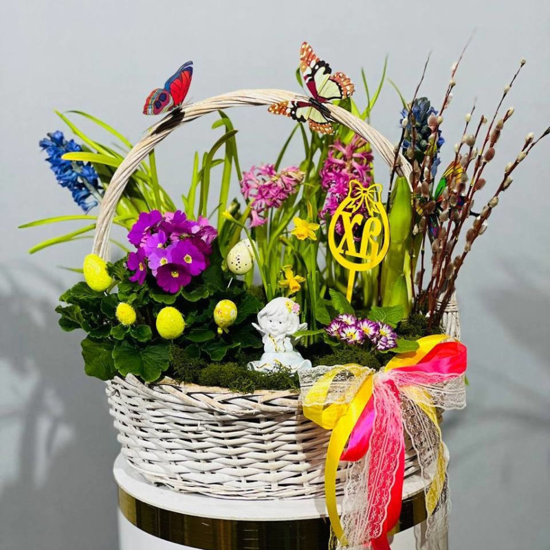 A gift for Easter, a mini garden with primroses and Angelica, standart