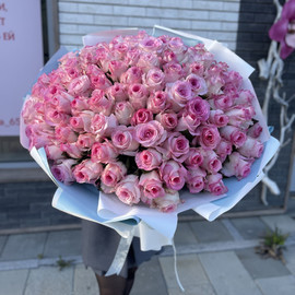 101 Роза «Mandala» 70 см