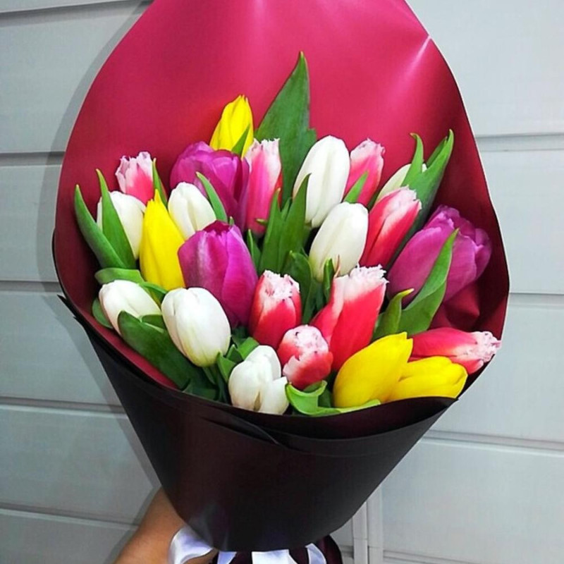 23 tulips in decoration, standart
