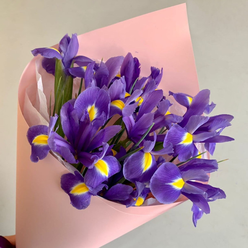Mono-bouquet with irises в„–15, standart