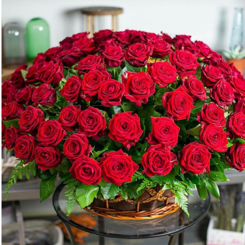101 roses Holland in a wicker basket, standart