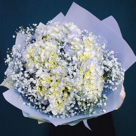 Bouquet of hydrangeas above the sky