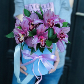 Букет орхидей в шляпной коробке