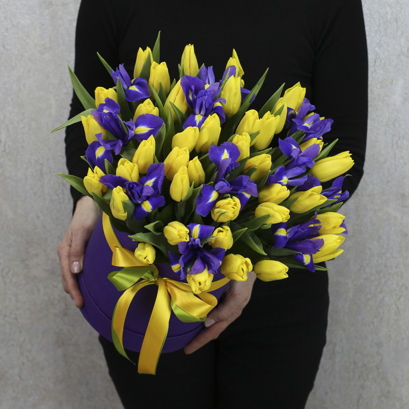Box of 51 yellow tulips and blue irises, standart