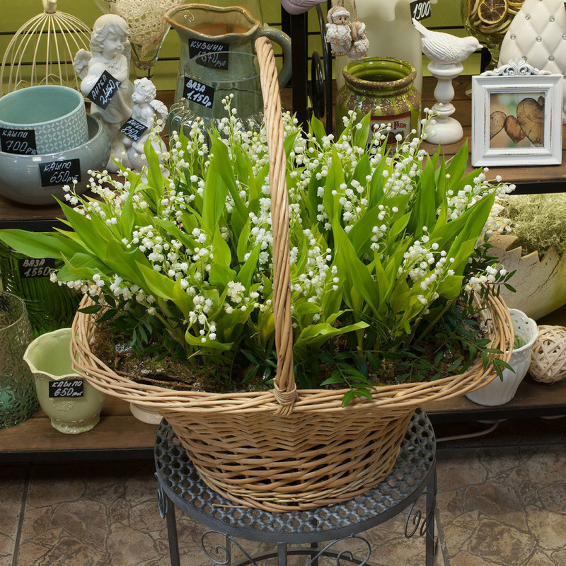 Basket with lily of the valley, standart