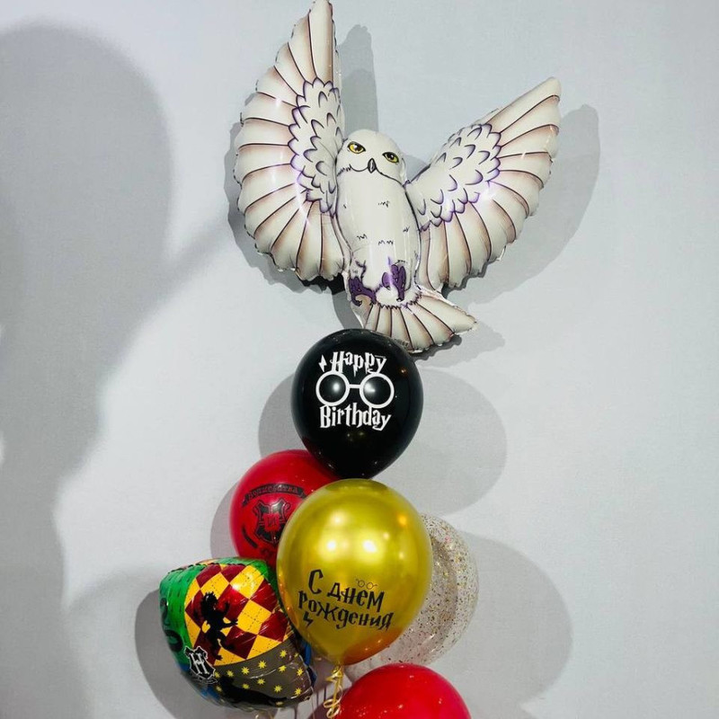 Harry Potter Owl Balloon Set, standart