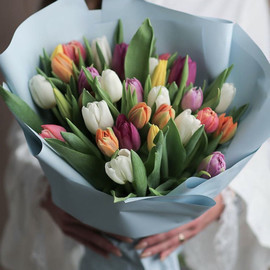 Bouquet of Tulips mix