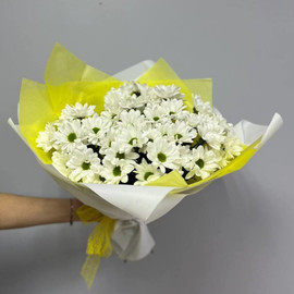 Белые ромашковые хризантемы для учителя