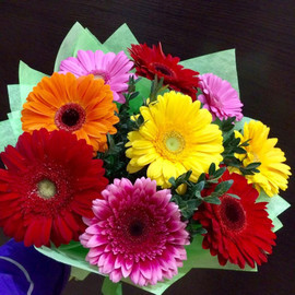 Bouquet of colorful daisies and gerberas