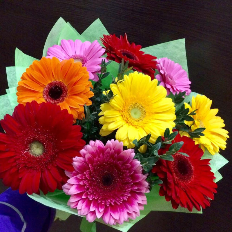 Bouquet of colorful daisies and gerberas, standart
