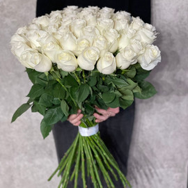 65 Белых роз