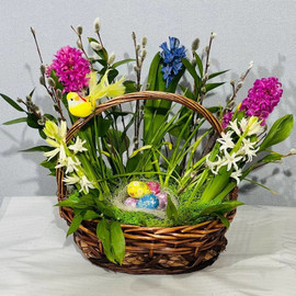 Flowers in a basket spring primroses hyacinths daffodils and willow