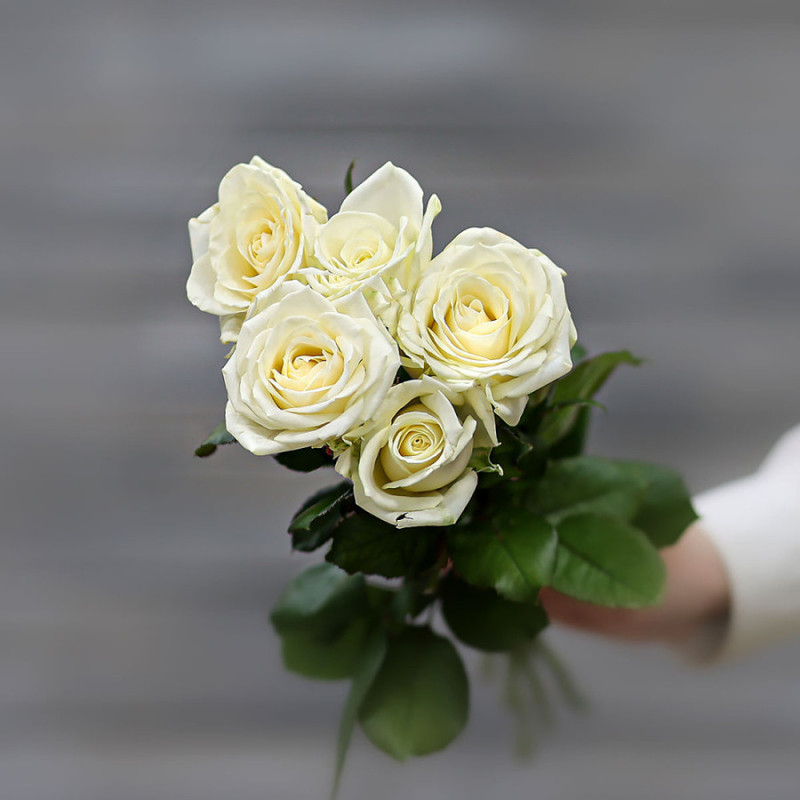 Букет из белых роз (Россия) с лентой 60 см, мини