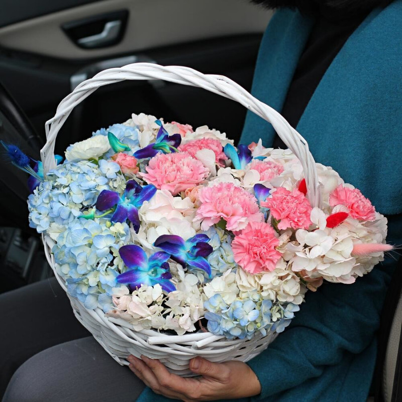 Huge basket with hydrangea and space dendrobium, standart