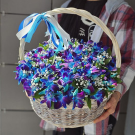 Basket with flowers basket with dendrobium and gypsophila
