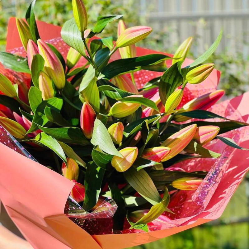 Bouquet of 9 lilies, standart