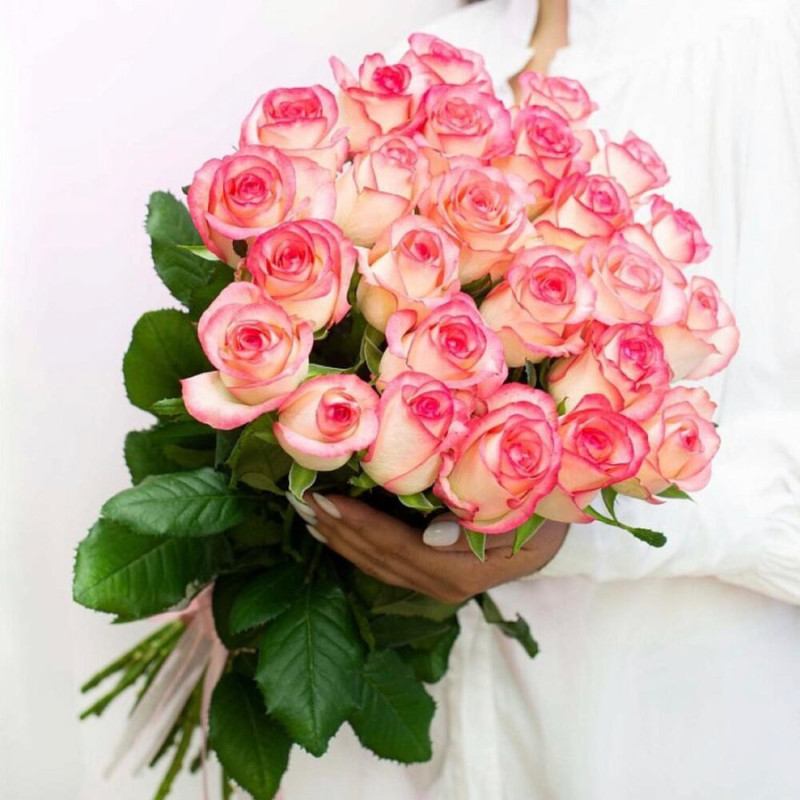 29 delicate Jumilia roses in designer packaging, standart