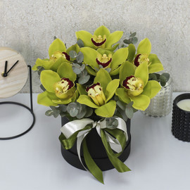 7 green orchids with eucalyptus in a box "Tropical butterflies mini"