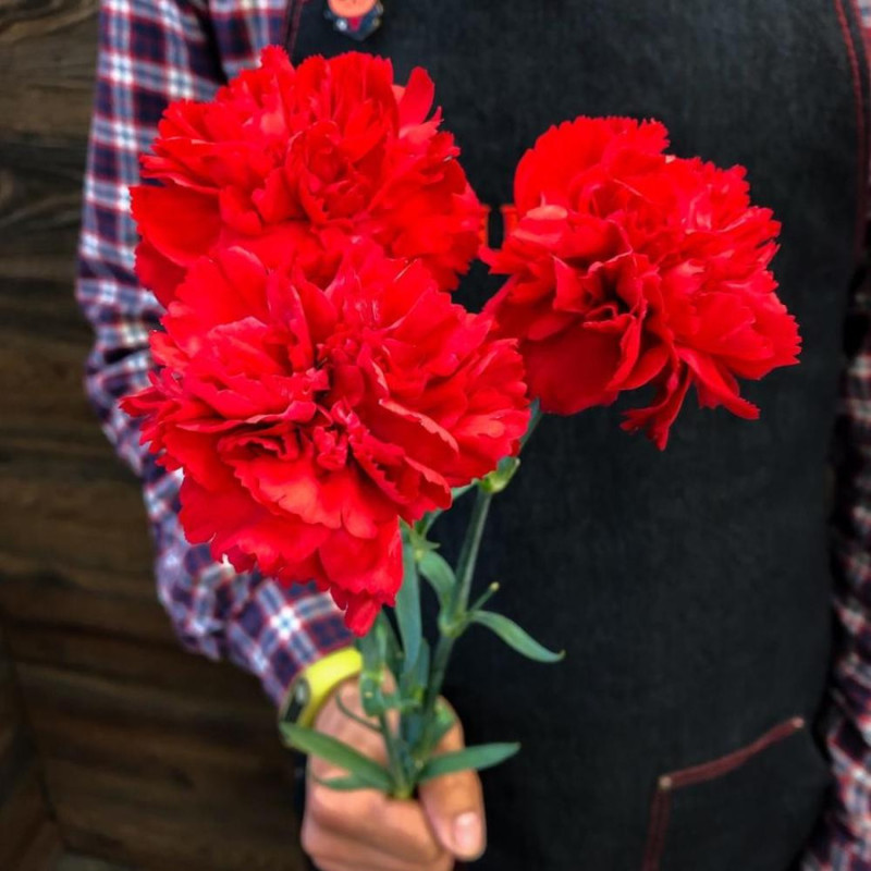 Bouquet of 3 carnations, standart