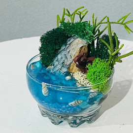 Mini garden with waterfall and succulent