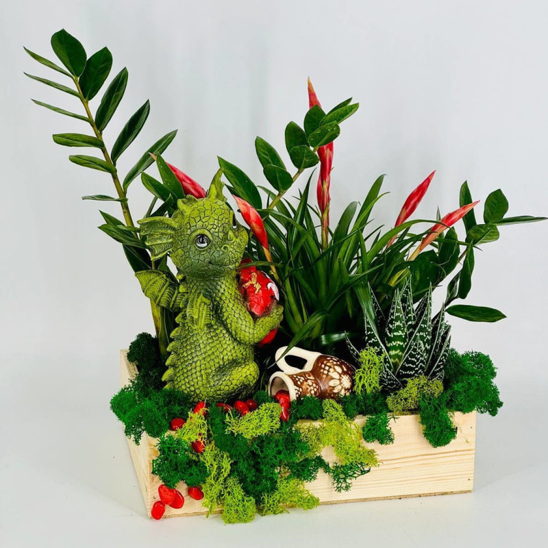 Tabletop mini garden with live plants in a wooden box, standart