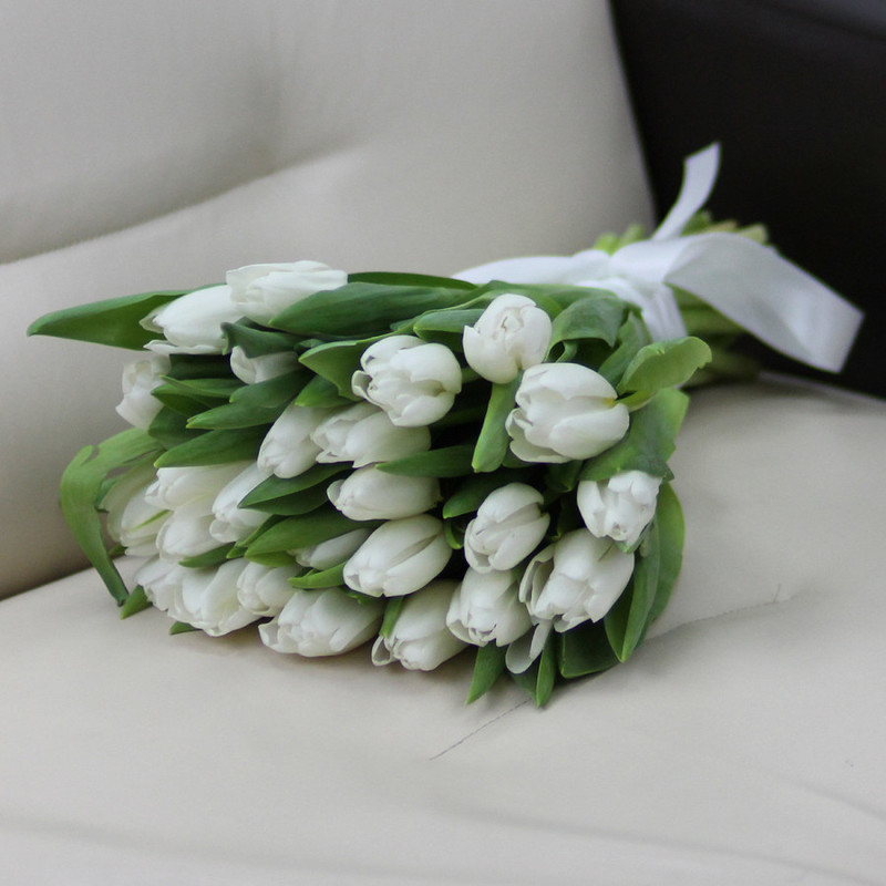 25 white tulips, standart