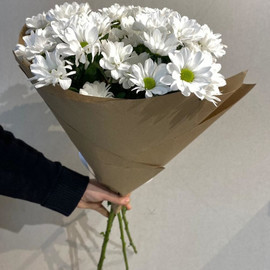 Bouquet of 5 white spray chrysanthemums in craft 50 cm