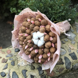 Bouquet of walnuts