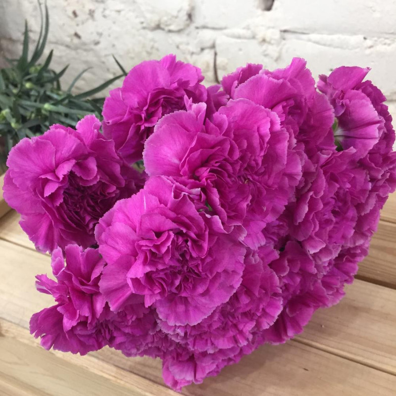 Bouquet of 15 carnations, standart