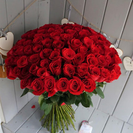 101 elite Ecuadorian roses 70cm