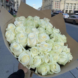 31 белая роза «Аваланж» 60 см  в крафтовой упаковке