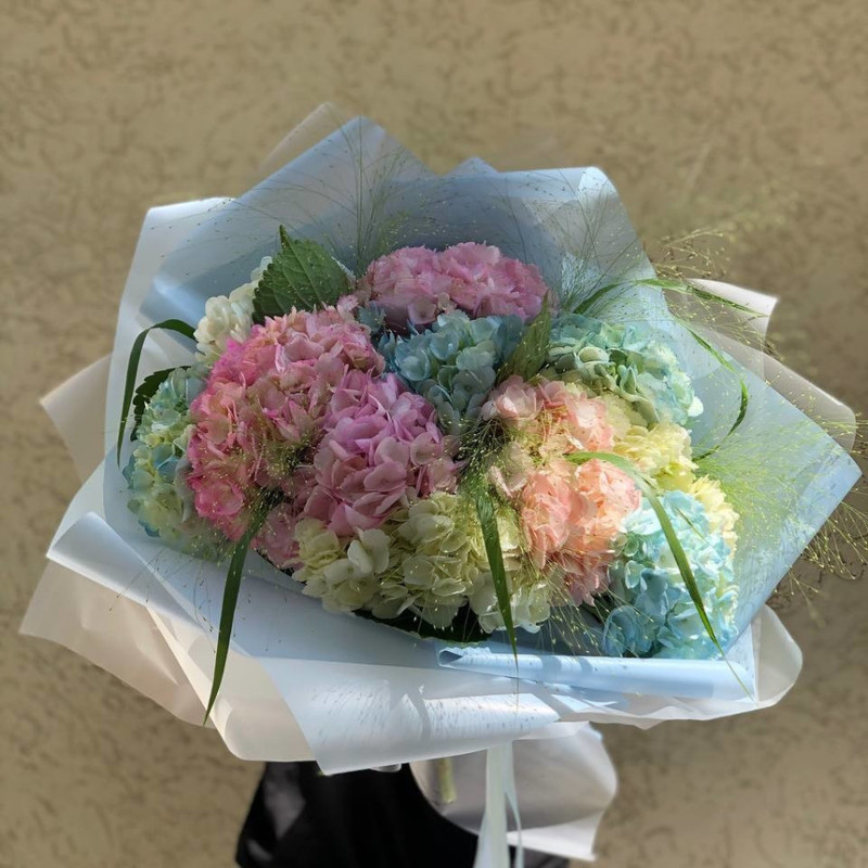 Bouquet of 13 hydrangeas, standart