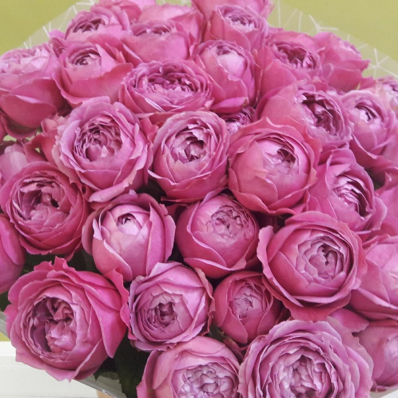 19 пионовидных малиновых роз, стандартный
