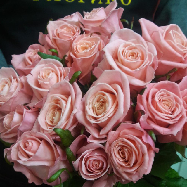 19 розовых роз, стандартный